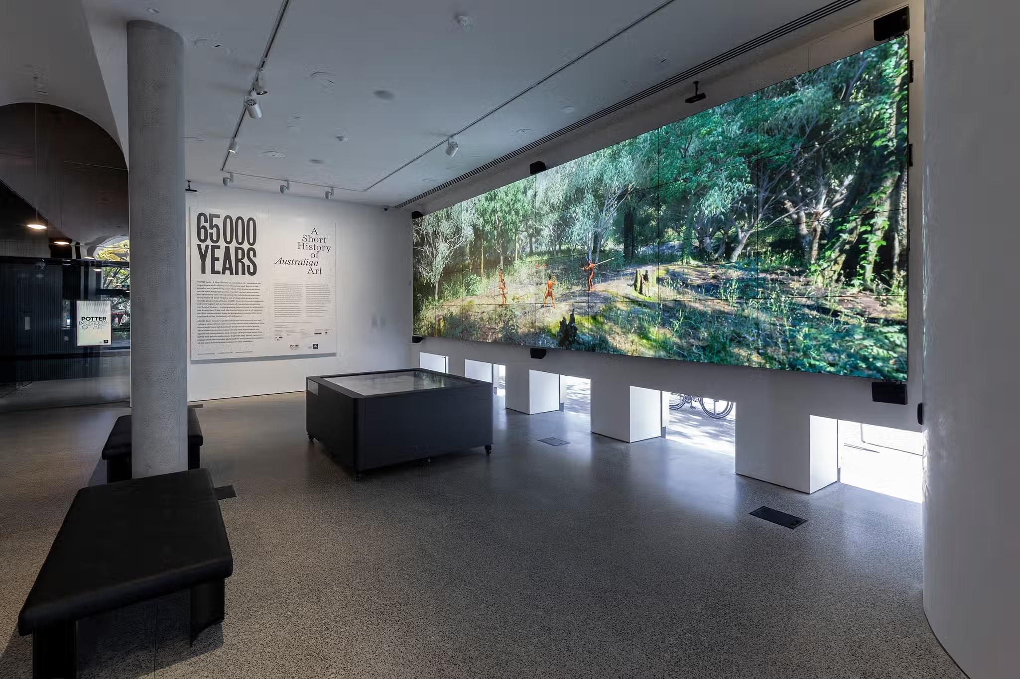 Artwork of a forest in a gallery marking 65,000 years of Aboriginal and Torres Strait Island culture.