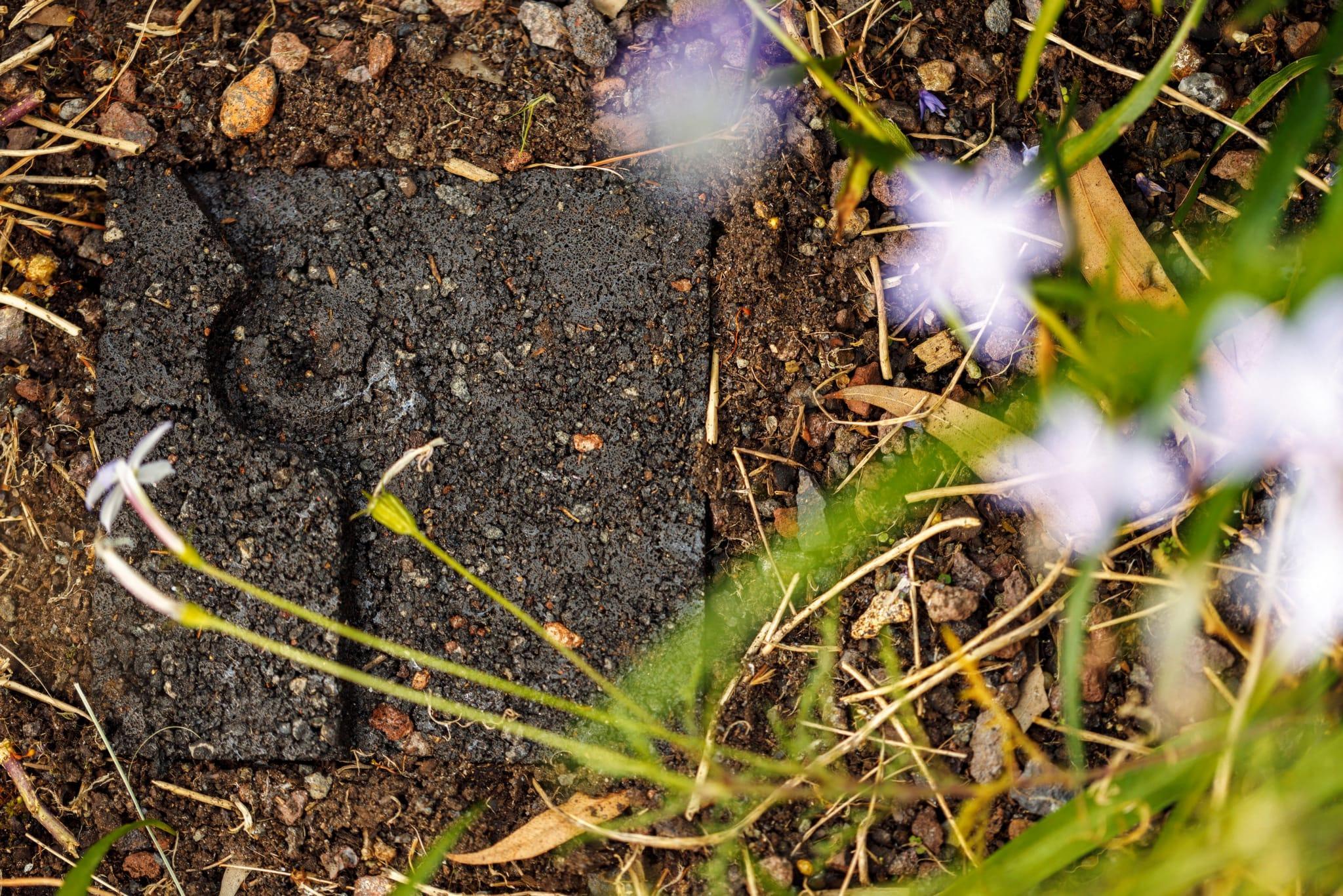 Close up of a small sculptural tile artwoek placed in the soil of a garden. A black square with a line imprinted on it.