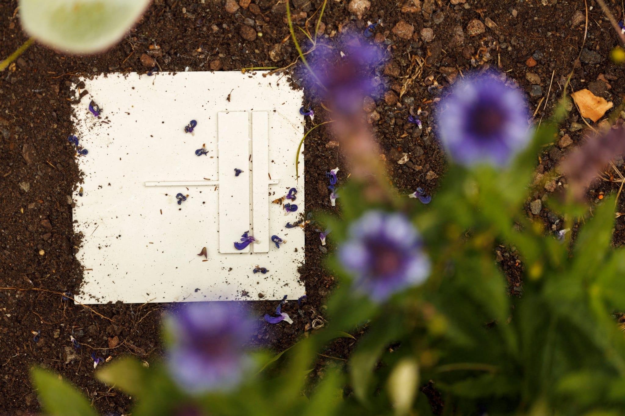 Close up of a small sculptural tile artwork placed in the soil of a garden. The tile is square and white with shapes imprinted on it.