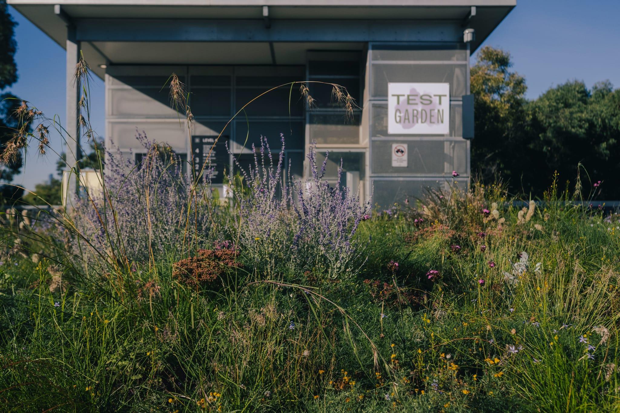 A wide shot of the Test Garden with bright green plants and an entrance with elevator in the background.